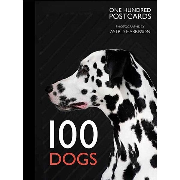 Harrisson, A: 100 Dogs in a Box, Astrid Harrisson