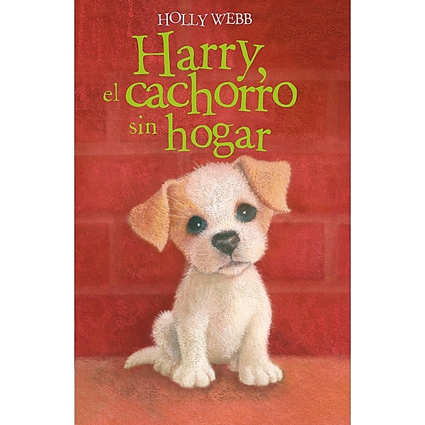 Harry, el cachorro sin hogar / Holly Webb, Holly Webb