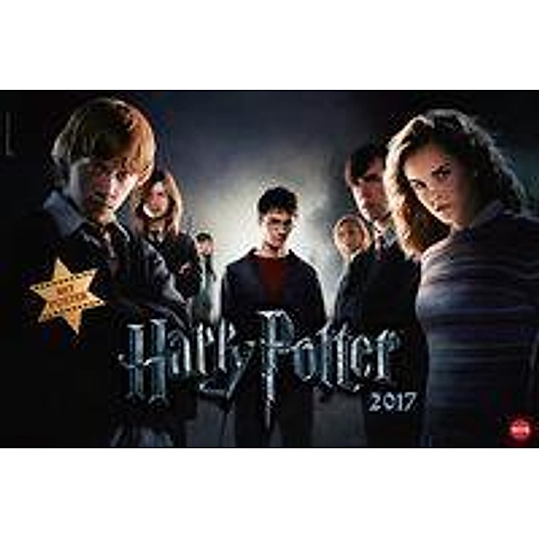 Harry Potter Broschur XL 2017