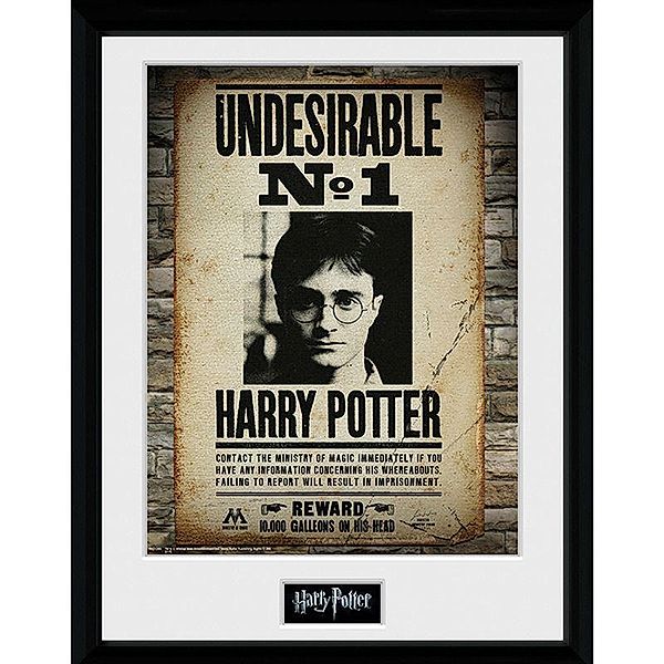 HARRY POTTER - Framed print Undesirable No 1 x2