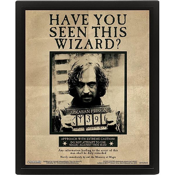 HARRY POTTER (HARRY & SIRIUS) FRAMED 10X8 3D