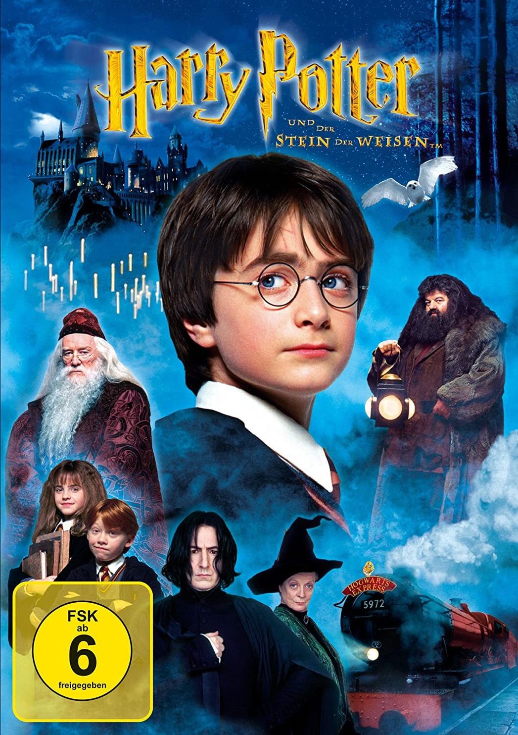 Harry Potter und der Stein der Weisen DVD | Weltbild.ch