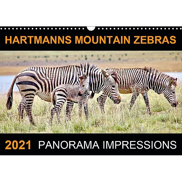 HARTMANNS MOUNTAIN ZEBRAS (Wall Calendar 2021 DIN A3 Landscape), Barbara Fraatz