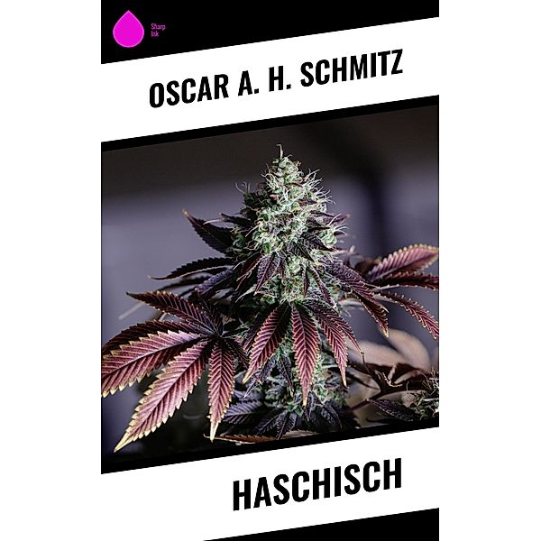 Haschisch, Oscar A. H. Schmitz