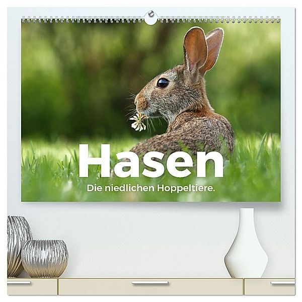 Hasen - Die niedlichen Hoppeltiere. (hochwertiger Premium Wandkalender 2025 DIN A2 quer), Kunstdruck in Hochglanz, Calvendo, M. Scott