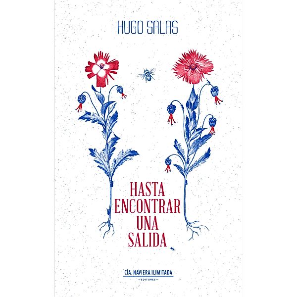 Hasta encontrar una salida / Ficción, Hugo Salas