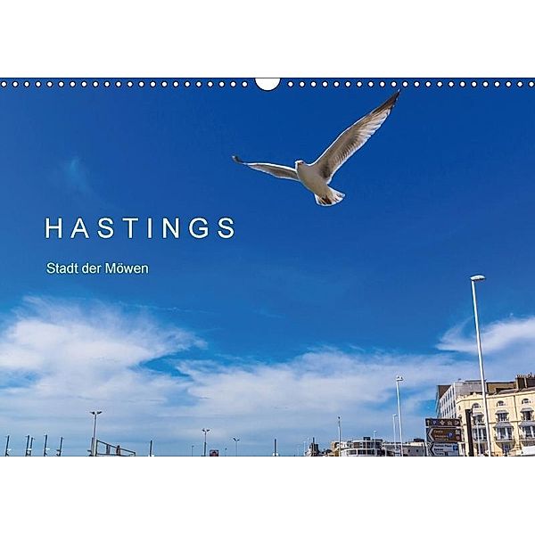 HASTINGS - Stadt der Möwen (Wandkalender 2017 DIN A3 quer), Michael Lobisch-Delija