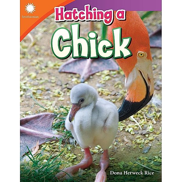 Hatching a Chick