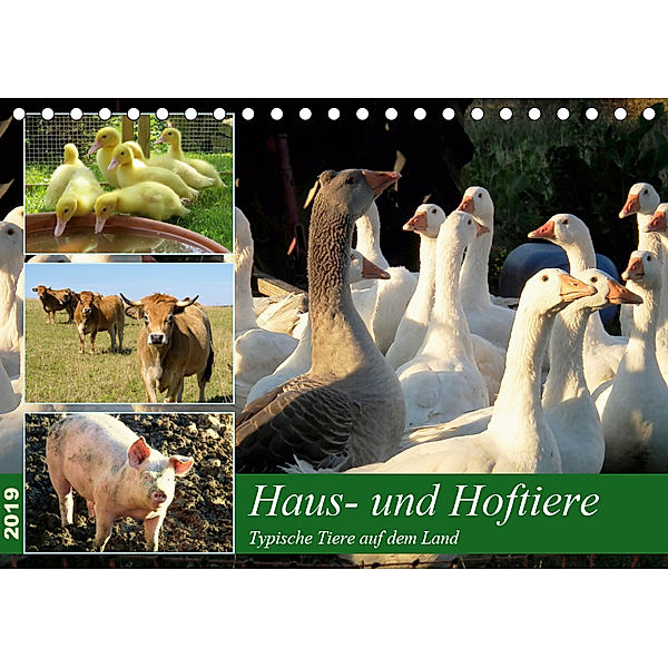 Haus- und Hoftiere (Tischkalender 2019 DIN A5 quer), Sabine Löwer