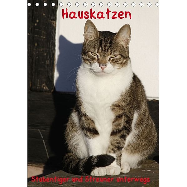 Hauskatzen (Tischkalender 2014 DIN A5 hoch), Antje Lindert-Rottke