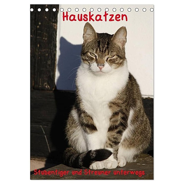Hauskatzen (Tischkalender 2024 DIN A5 hoch), CALVENDO Monatskalender, Antje Lindert-Rottke