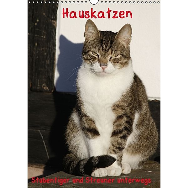 Hauskatzen (Wandkalender 2014 DIN A3 hoch), Antje Lindert-Rottke