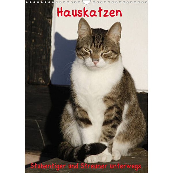 Hauskatzen (Wandkalender 2022 DIN A3 hoch), Antje Lindert-Rottke