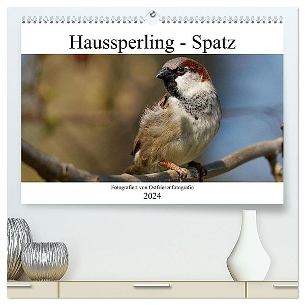 Haussperling - Spatz fotografiert von Ostfriesenfotografie (hochwertiger Premium Wandkalender 2024 DIN A2 quer), Kunstdruck in Hochglanz, Christina Betten - Ostfriesenfotografie