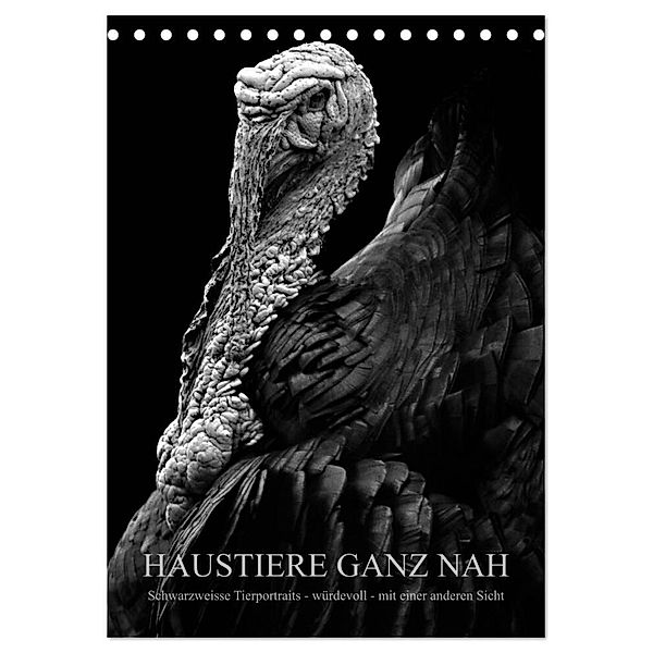 HAUSTIERE GANZ NAH (Tischkalender 2024 DIN A5 hoch), CALVENDO Monatskalender, Anké Hunscha