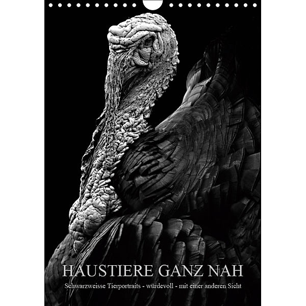 HAUSTIERE GANZ NAH (Wandkalender 2019 DIN A4 hoch), Anké Hunscha