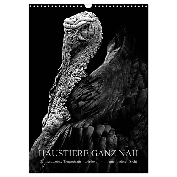 HAUSTIERE GANZ NAH (Wandkalender 2024 DIN A3 hoch), CALVENDO Monatskalender, Anké Hunscha