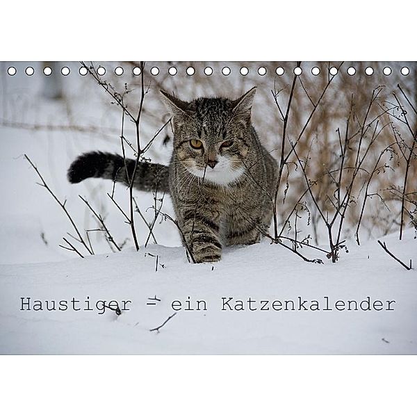 Haustiger - Ein Katzenkalender (Tischkalender 2017 DIN A5 quer), J. Becker