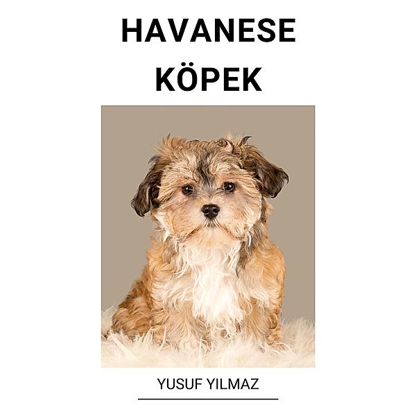 Havanese Köpek, Yusuf Yilmaz
