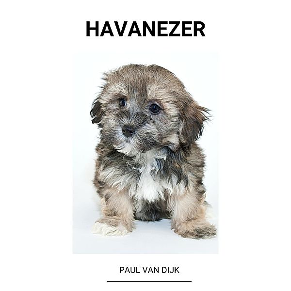 Havanezer, Paul van Dijk