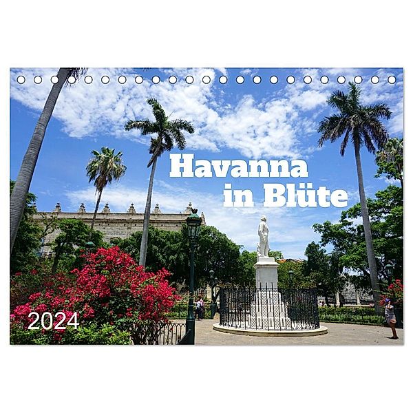 Havanna in Blüte (Tischkalender 2024 DIN A5 quer), CALVENDO Monatskalender, Henning von Löwis of Menar