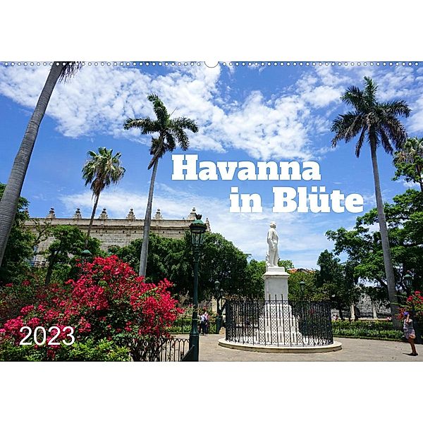 Havanna in Blüte (Wandkalender 2023 DIN A2 quer), Henning von Löwis of Menar, Henning von Löwis of Menar