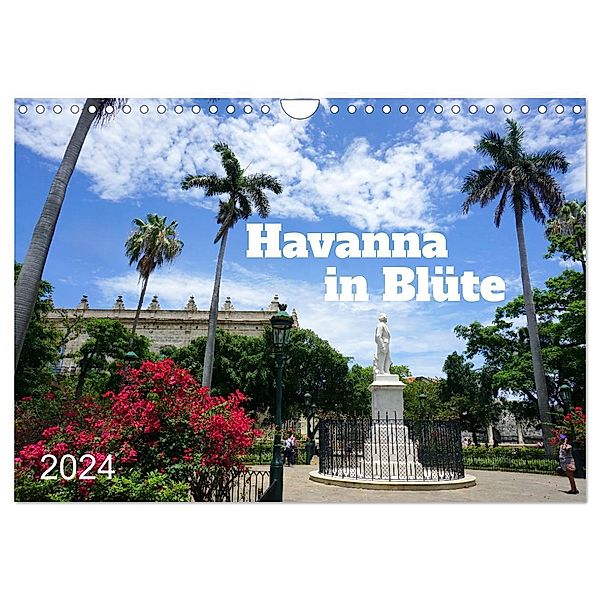 Havanna in Blüte (Wandkalender 2024 DIN A4 quer), CALVENDO Monatskalender, Henning von Löwis of Menar