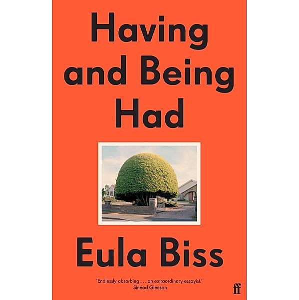 Having and Being Had, Eula Biss