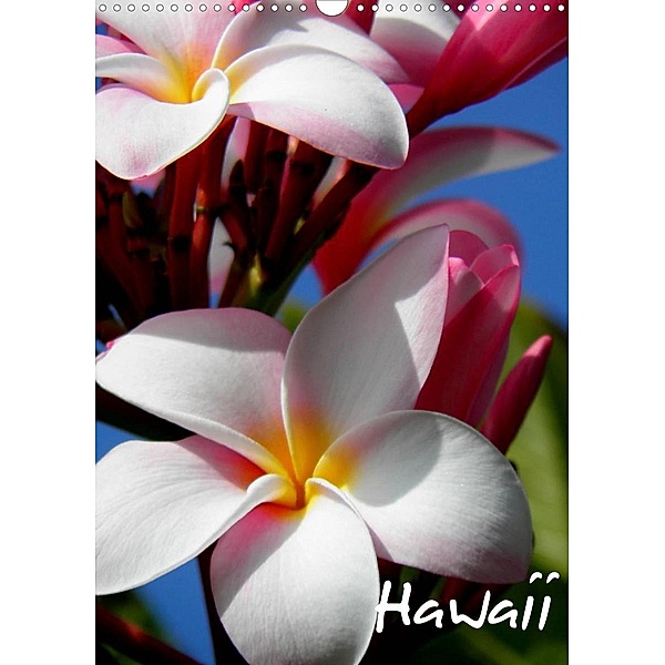 Hawaii (Wandkalender 2023 DIN A3 hoch), Katja Baumgartner