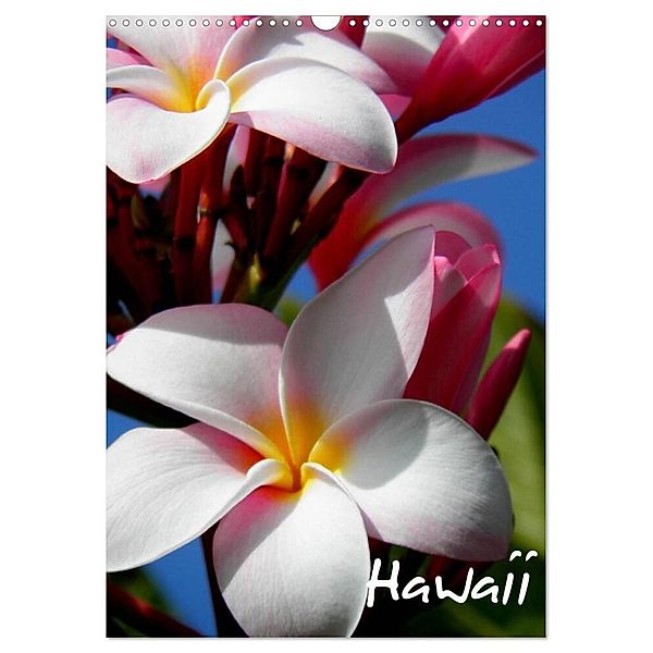 Hawaii (Wandkalender 2024 DIN A3 hoch), CALVENDO Monatskalender, Katja Baumgartner