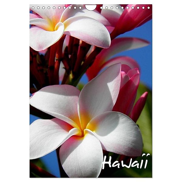 Hawaii (Wandkalender 2024 DIN A4 hoch), CALVENDO Monatskalender, Katja Baumgartner