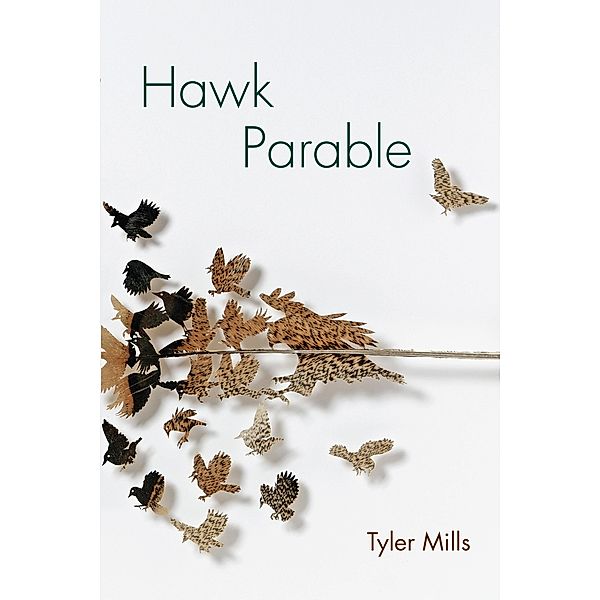Hawk Parable / Akron Series in Poetry, Tyler Mills