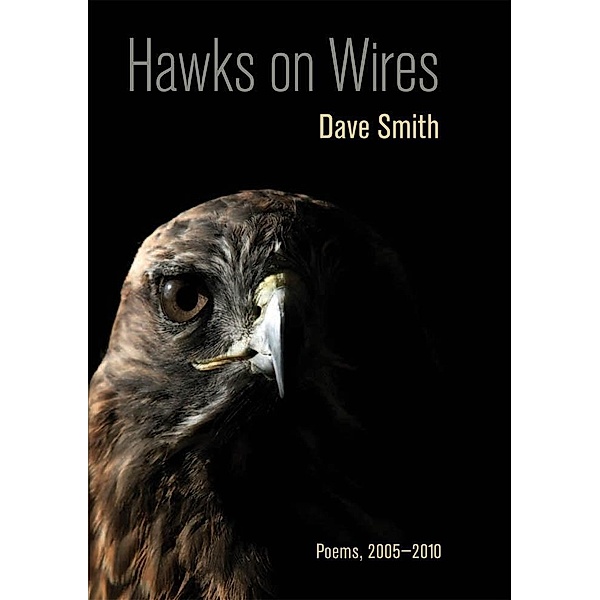 Hawks on Wires, Dave Smith