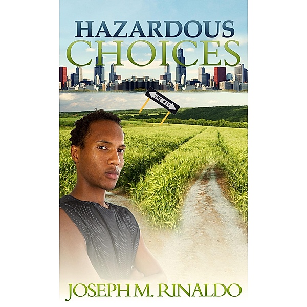 Hazardous Choices / Joseph Rinaldo, Joseph Rinaldo