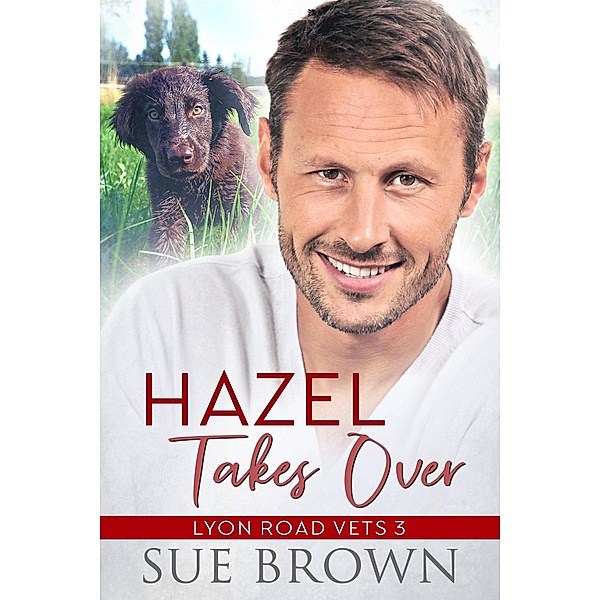 Hazel Takes Over (Lyon Road Vets, #3) / Lyon Road Vets, Sue Brown