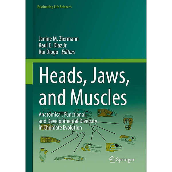 Heads, Jaws, and Muscles