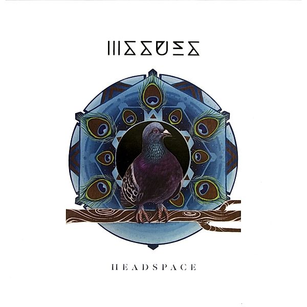 Headspace (Vinyl), Issues