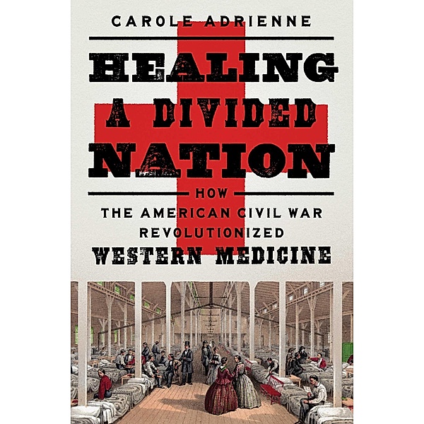 Healing a Divided Nation, Carole Adrienne