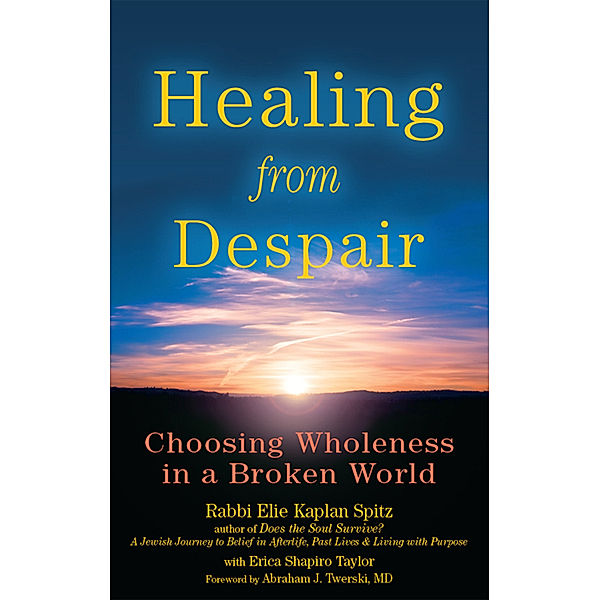 Healing from Despair, Rabbi Elie Kaplan Spitz