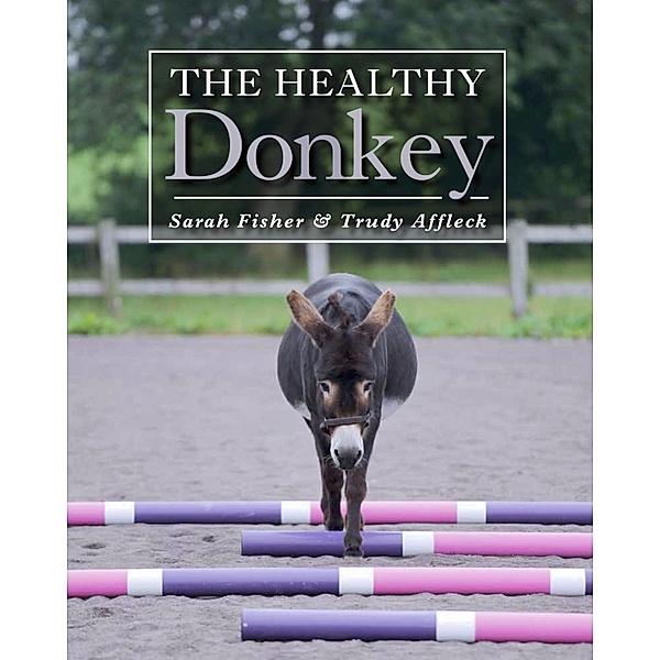 Healthy Donkey, Sarah Fisher, Trudy Affleck
