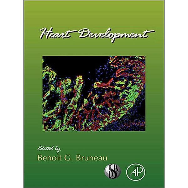 Heart Development / Current Topics in Developmental Biology Bd.100