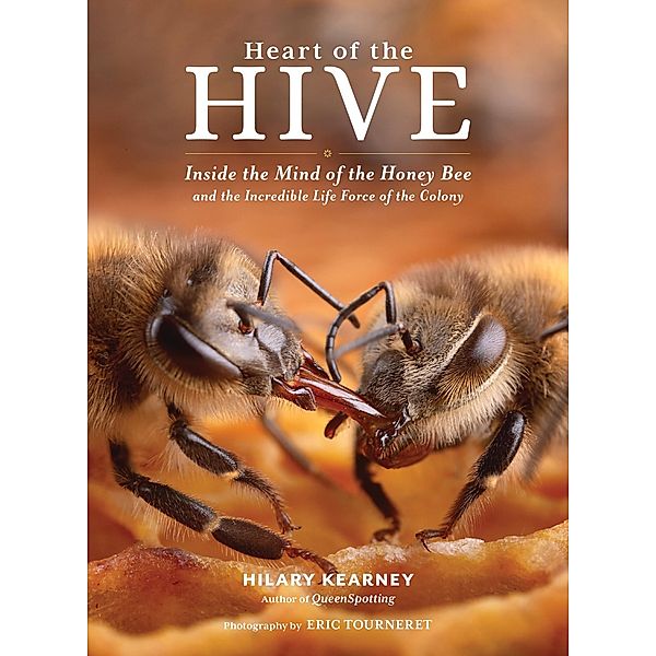 Heart of the Hive, Hilary Kearney