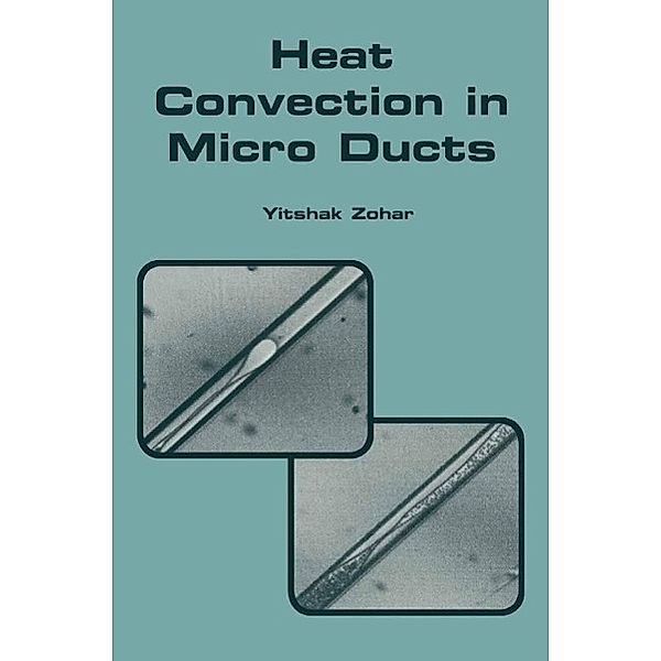 Heat Convection in Micro Ducts / Microsystems Bd.11, Yitshak Zohar