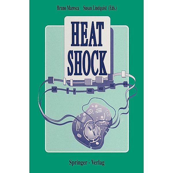 Heat Shock