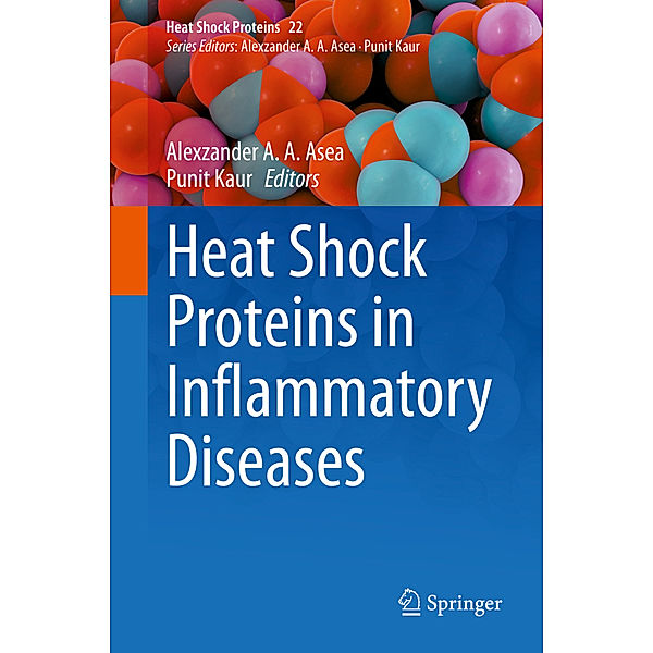 Heat Shock Proteins in Inflammatory Diseases