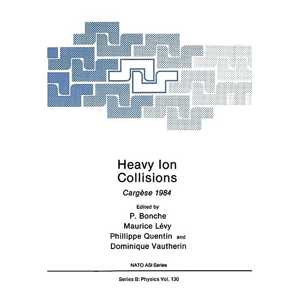 Heavy Ion Collisions / NATO Science Series B: Bd.130