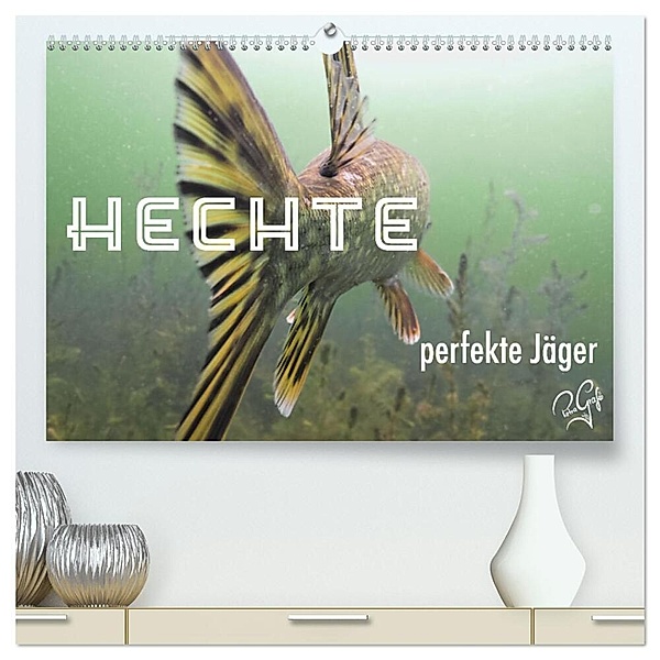 Hechte - perfekte Jäger (hochwertiger Premium Wandkalender 2024 DIN A2 quer), Kunstdruck in Hochglanz, Petragrafie143