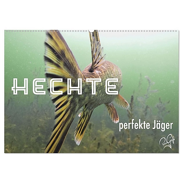 Hechte - perfekte Jäger (Wandkalender 2024 DIN A2 quer), CALVENDO Monatskalender, Petragrafie143