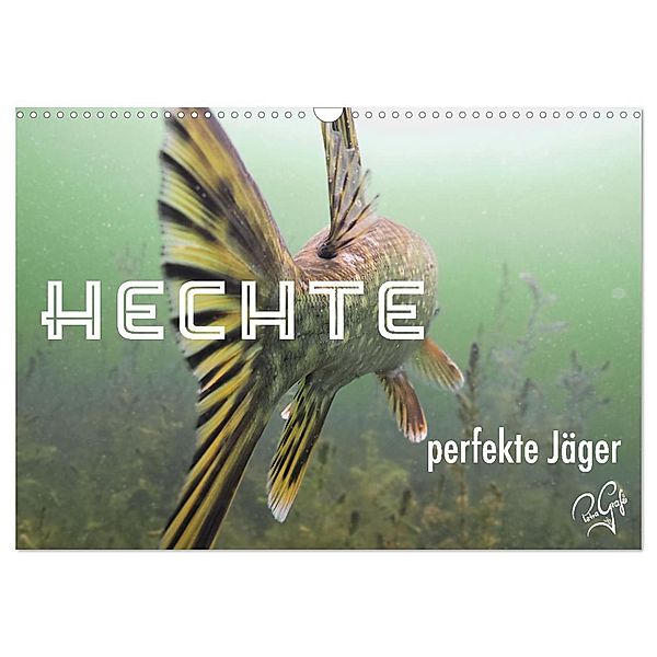 Hechte - perfekte Jäger (Wandkalender 2025 DIN A3 quer), CALVENDO Monatskalender, Calvendo, Petragrafie143