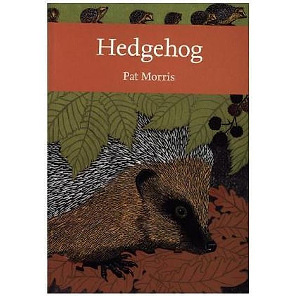 Hedgehog, Pat Morris